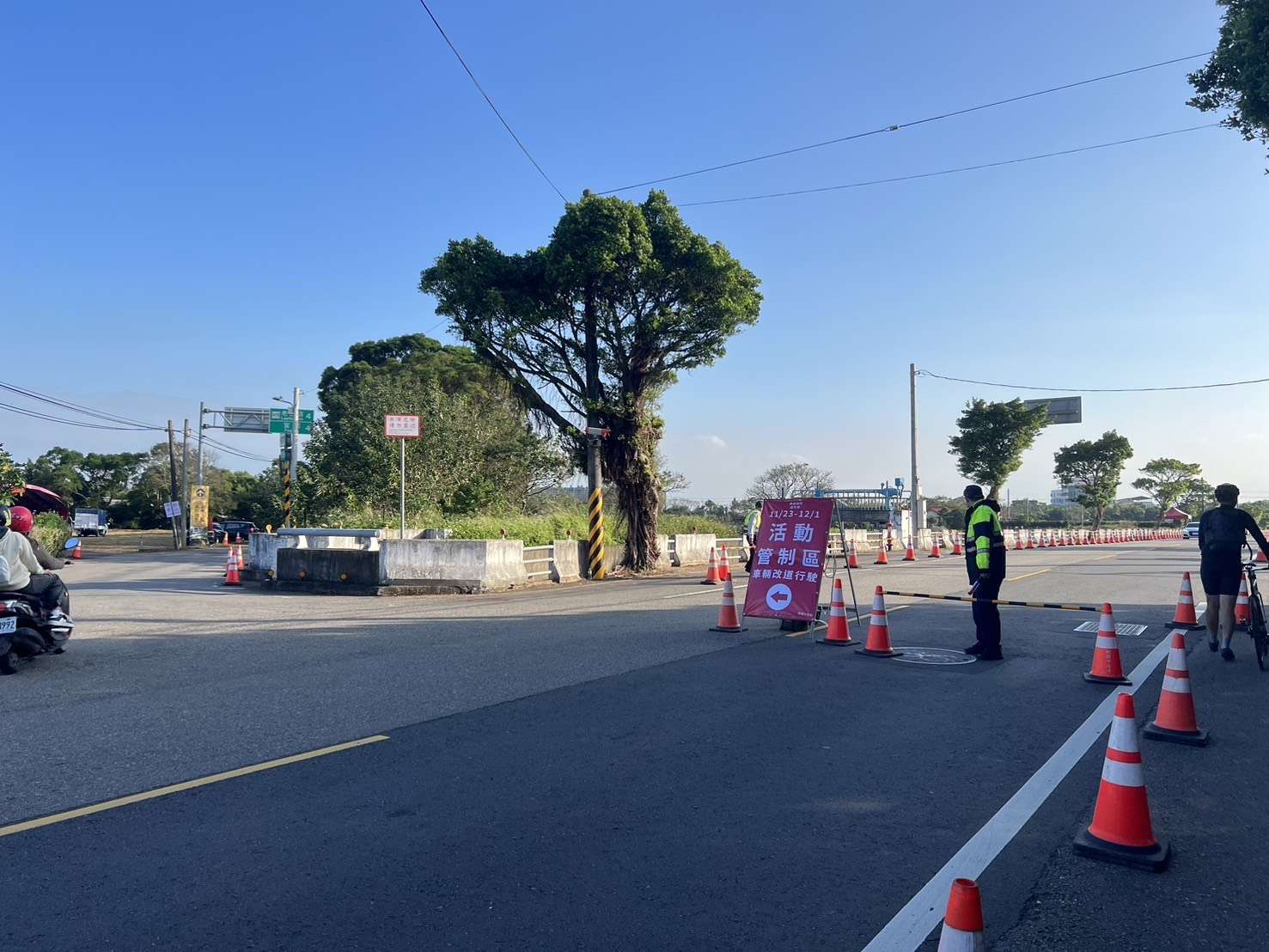 桃園仙草嘉年華11/22開幕!周邊交管、停車資訊這裡看 S 77389857 0