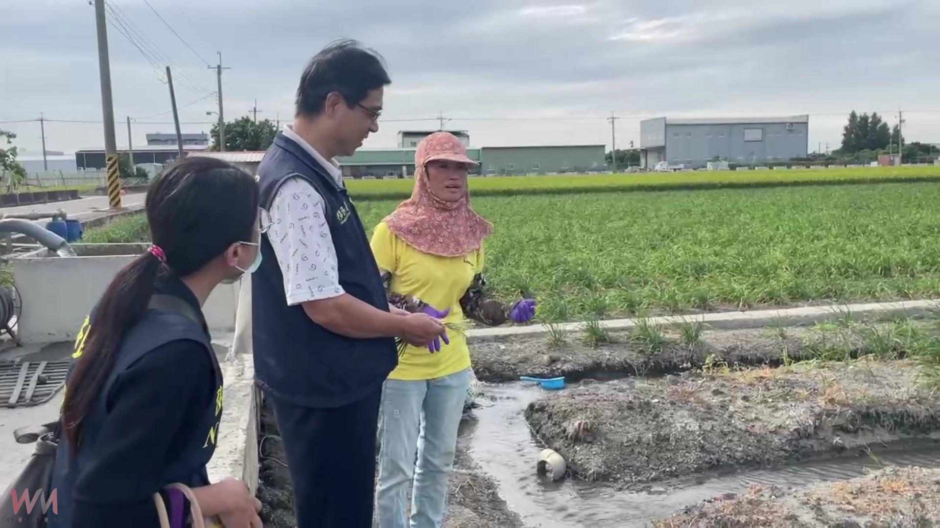 (有影片)/韭菜花田二十年耕耘 越南新住民阮金紅養出台大優秀子女 - https://www.watchmedia01.com