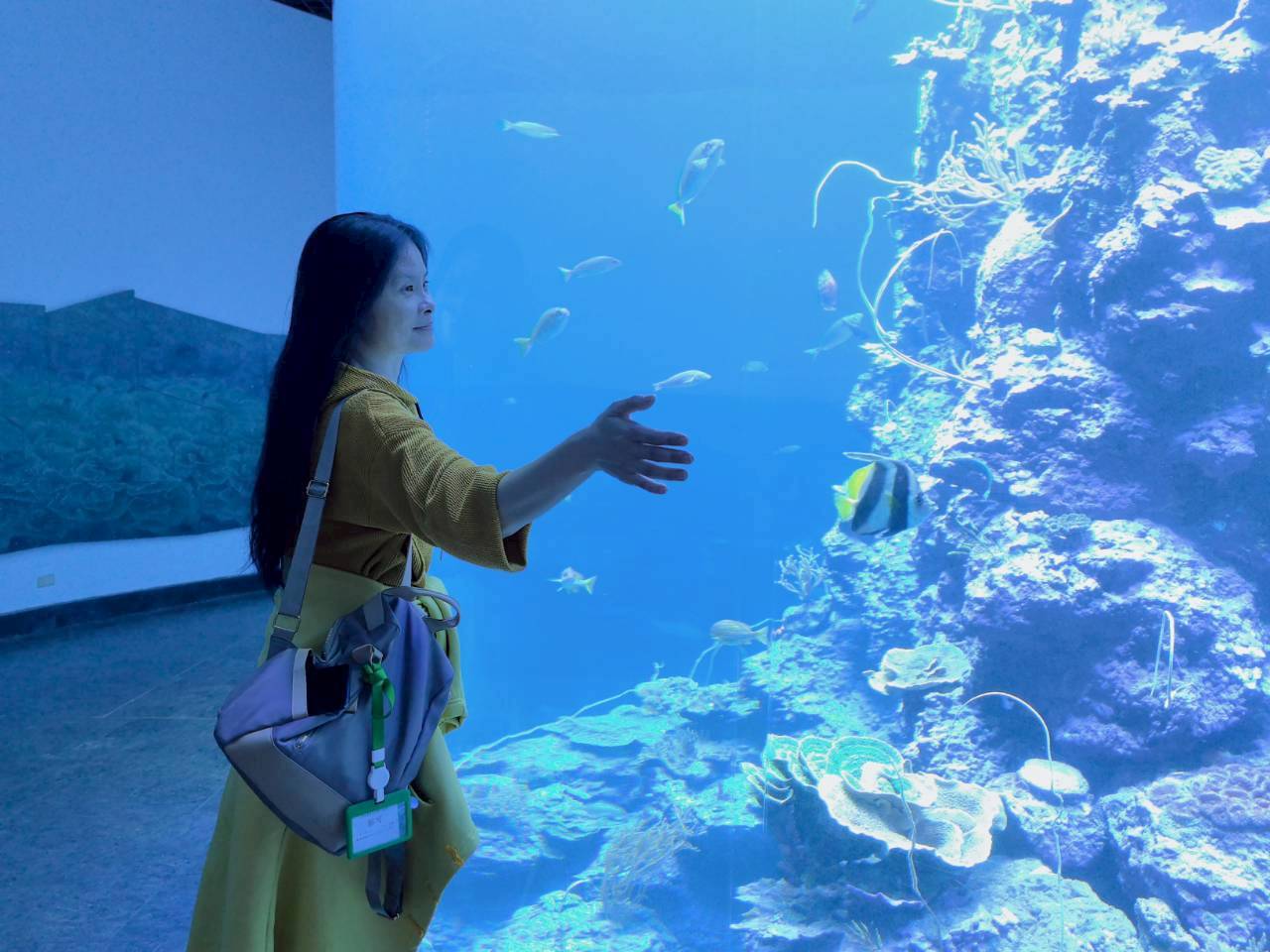 1820458 - 報新聞 Mega News