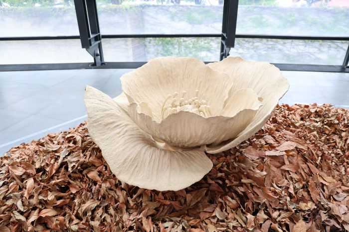 《圖說》《Flora》以陶土捏塑出巨大罌粟花，並佇立於落葉中，在盛放與枯萎之間映照豐饒與消逝並存。〈陶博館提供〉