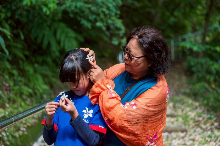 《圖說》2026新北市客家桐花祭系列活動將於4月1日開放報名，邀請民眾踴躍參與，一起跟著發桐醬玩新北。〈客家局提供〉